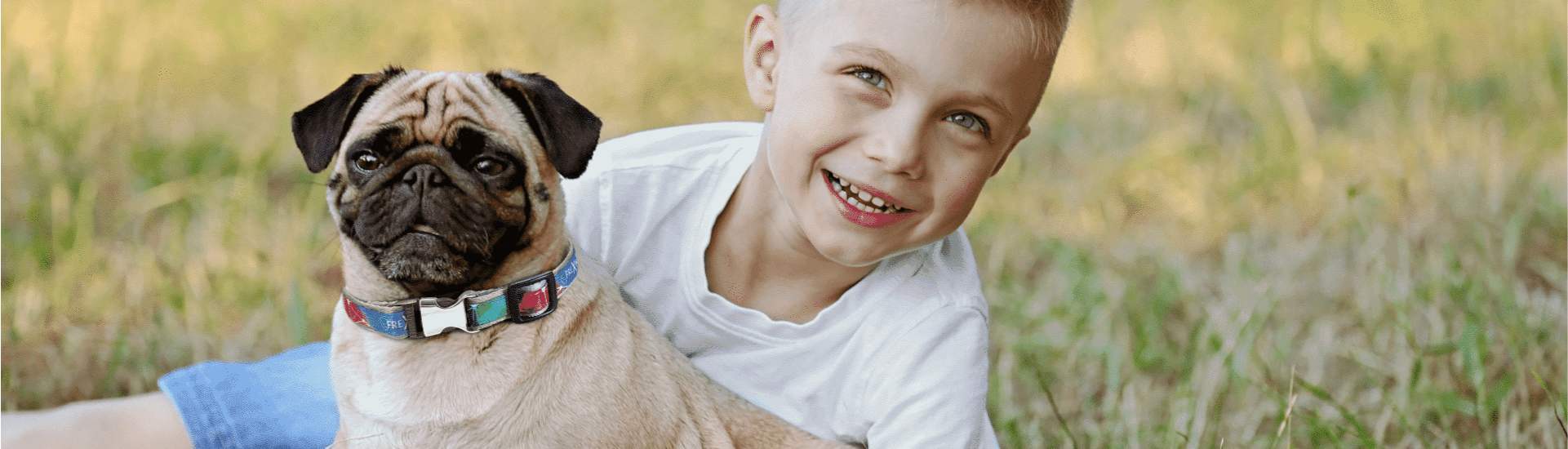 Laboratorium Organiczne LAB Sp. z o.o.