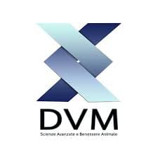 DVM srl