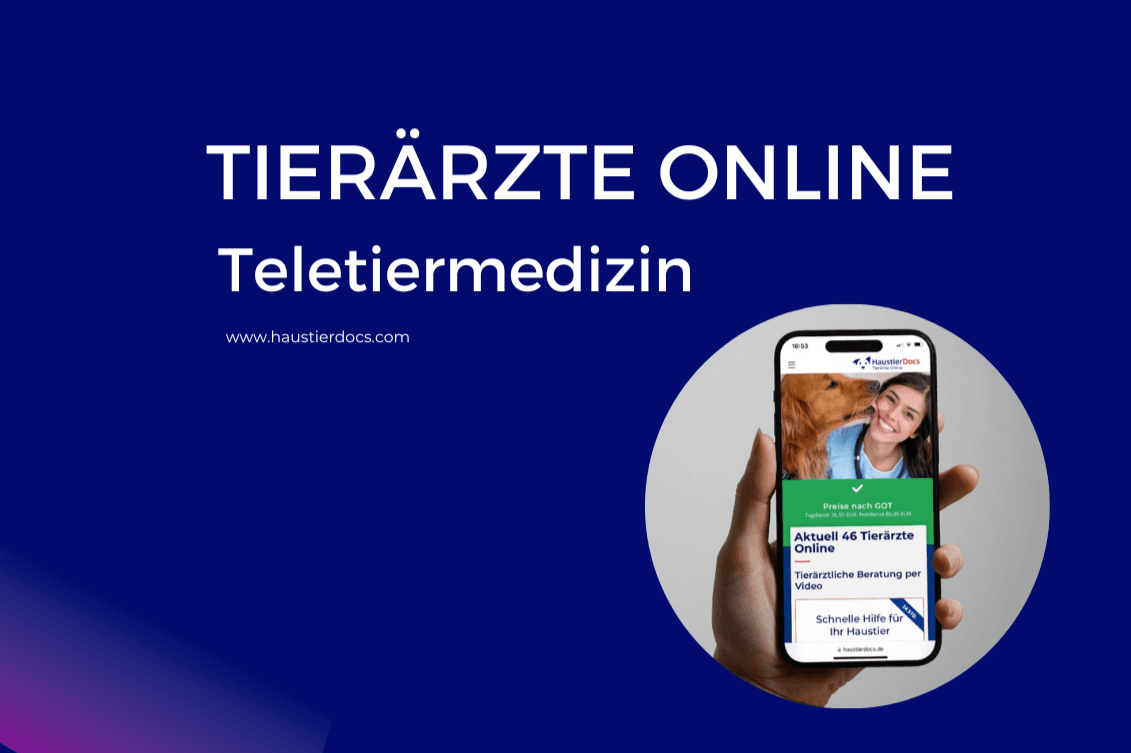 HorseVet24 - TierDocs24 GmbH