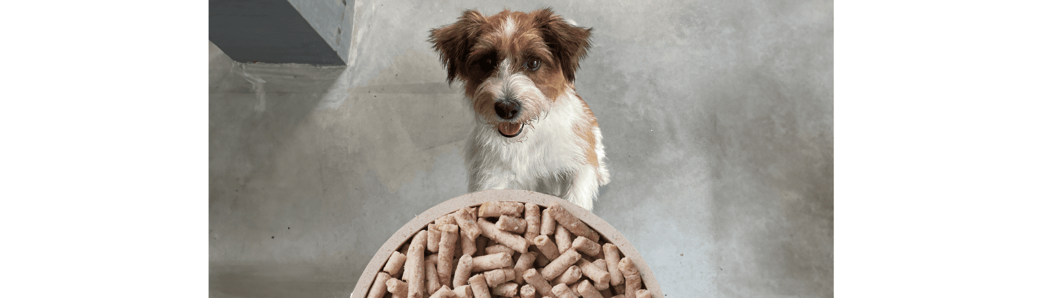 Q-Petfood / PetFoodie