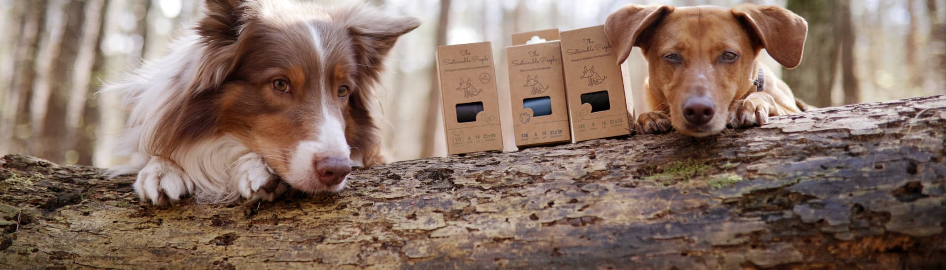 The Sustainable People GmbH