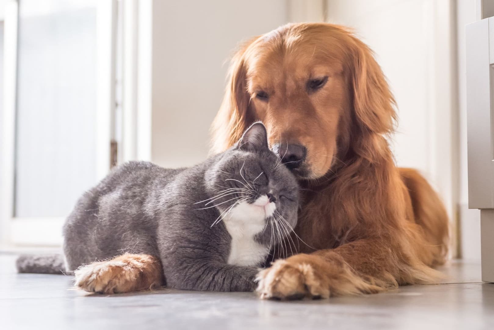 EURODUNA Technologies GmbH