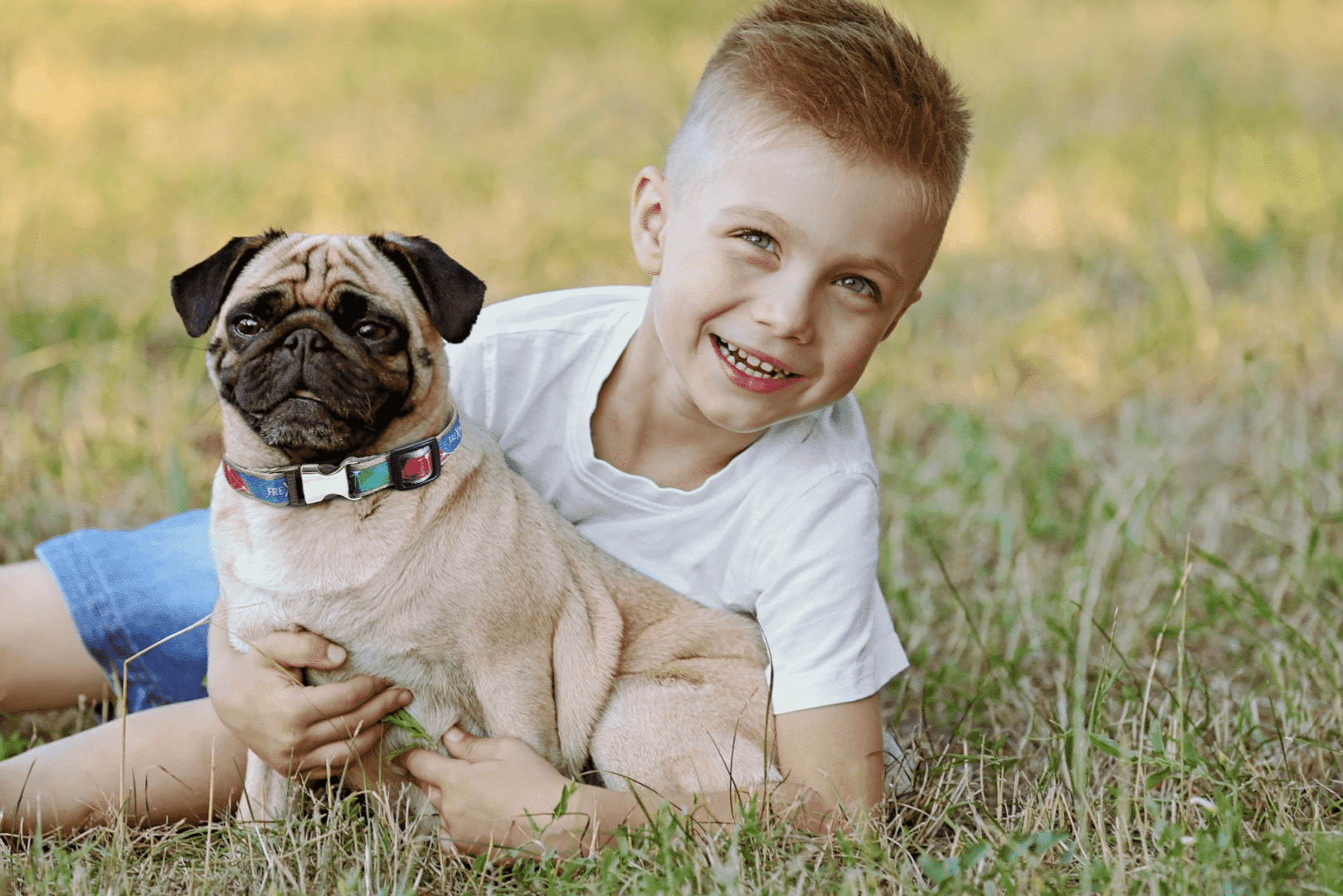 Laboratorium Organiczne LAB Sp. z o.o.