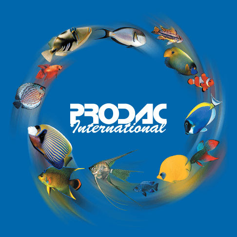 PRO.D.AC International S.r.l. logo
