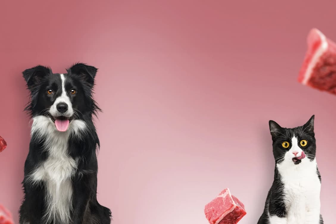 Carne's Doggi GmbH, BARFGOLD