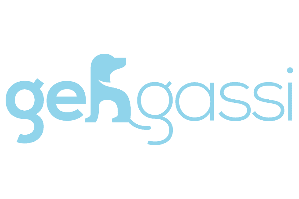 gehgassi GmbH