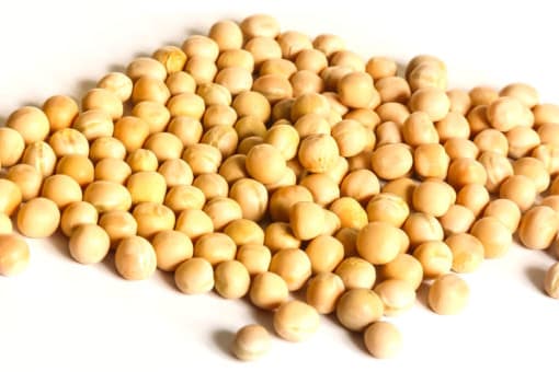 AM Nutrition AS