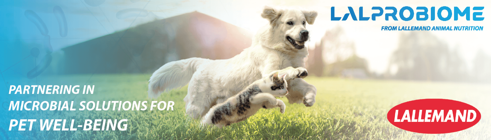 Lallemand Animal Nutrition