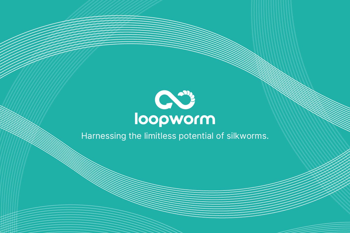 LOOPWORM PRIVATE LIMITED