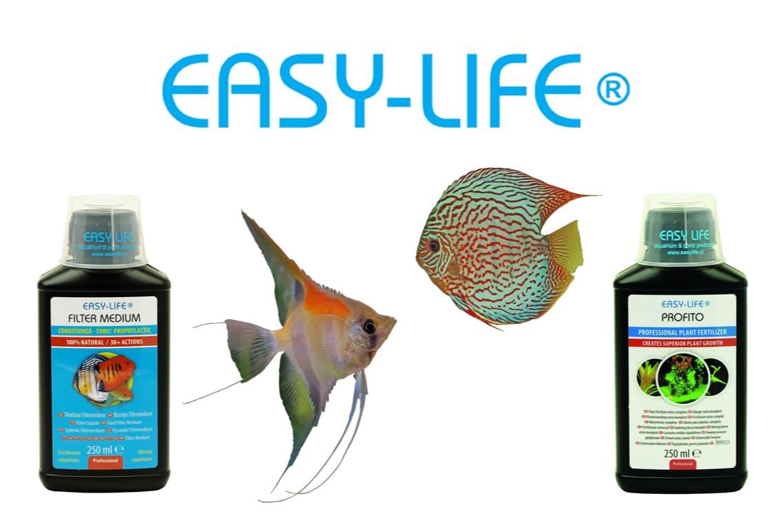 Easy Life International B.V.