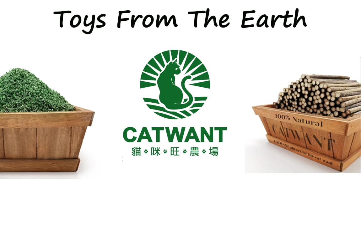 CATWANT Co.