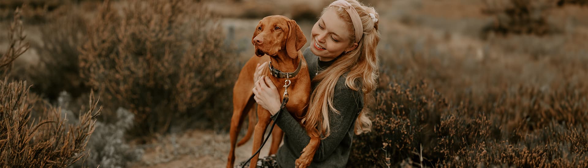 DOGSTYLER