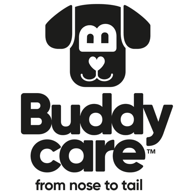 Buddycare logo