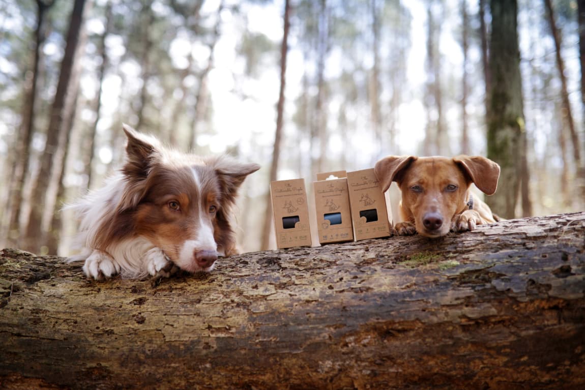 The Sustainable People GmbH