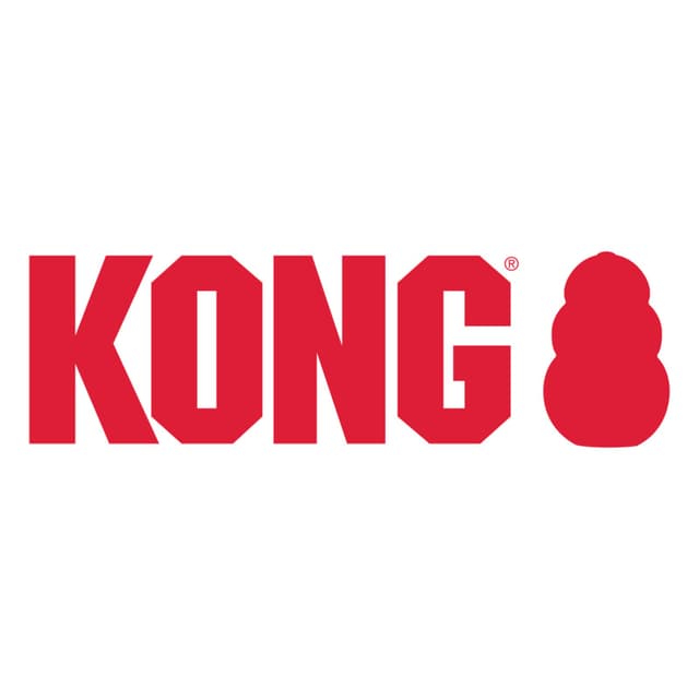 KONG Company Limited logo