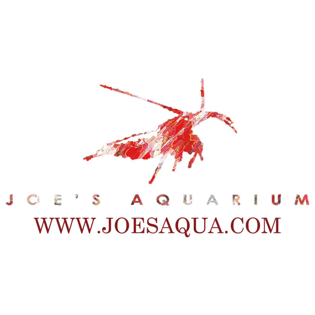 JOE'S AQUA INTERNATIONAL CO., LTD logo