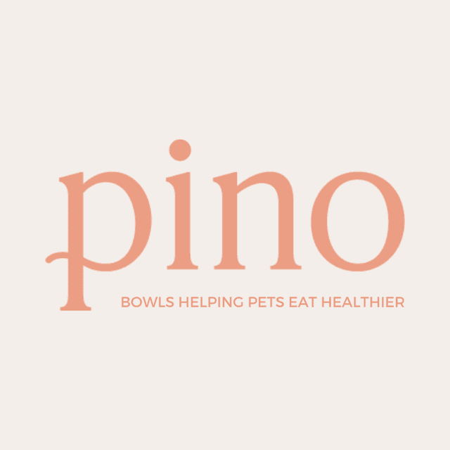 Pino logo