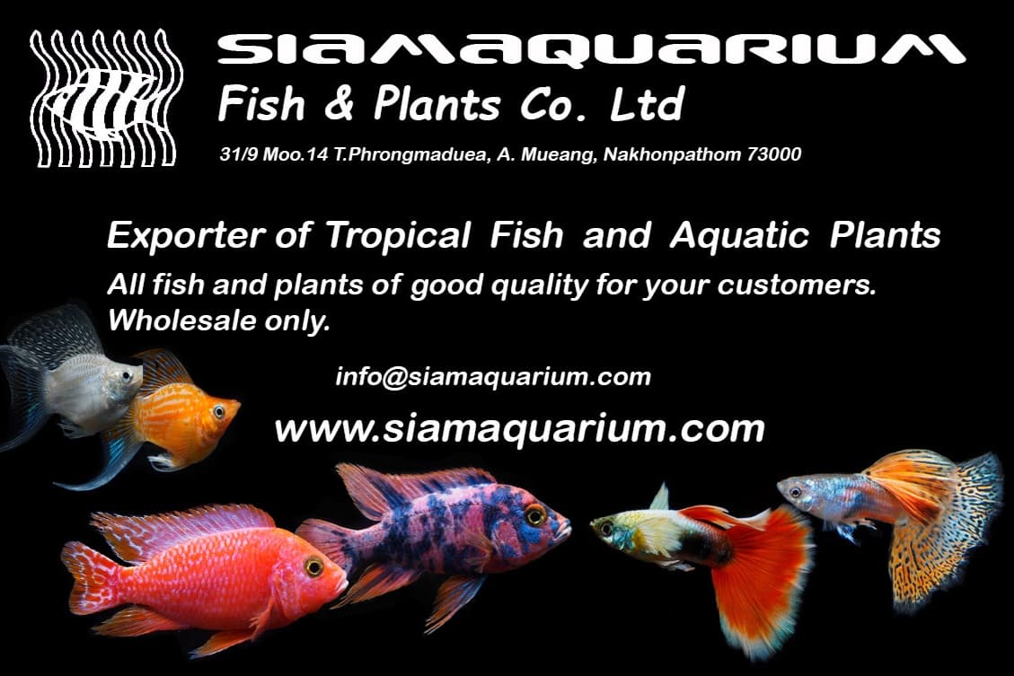 Siamaquarium Fish & Plants Co.,Ltd.