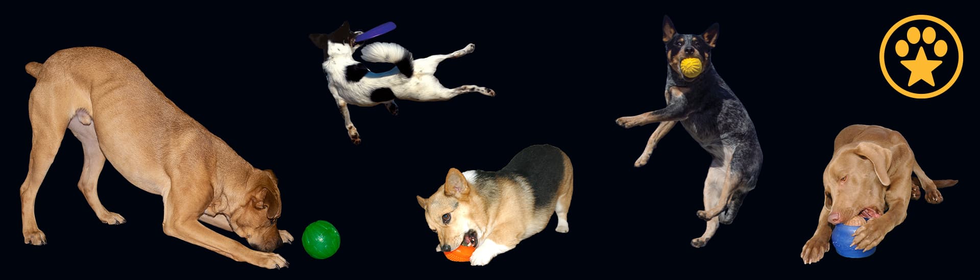 Starmark Pet Products