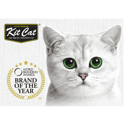 Kit Cat International Pte Ltd