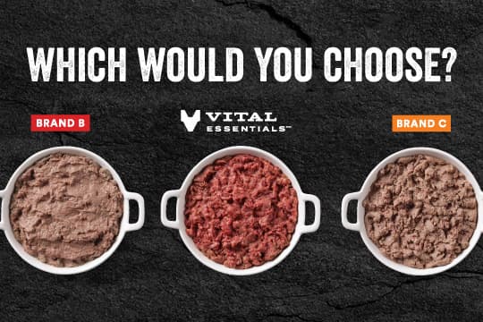 Vital Essentials Carnivore Meat Company LLC