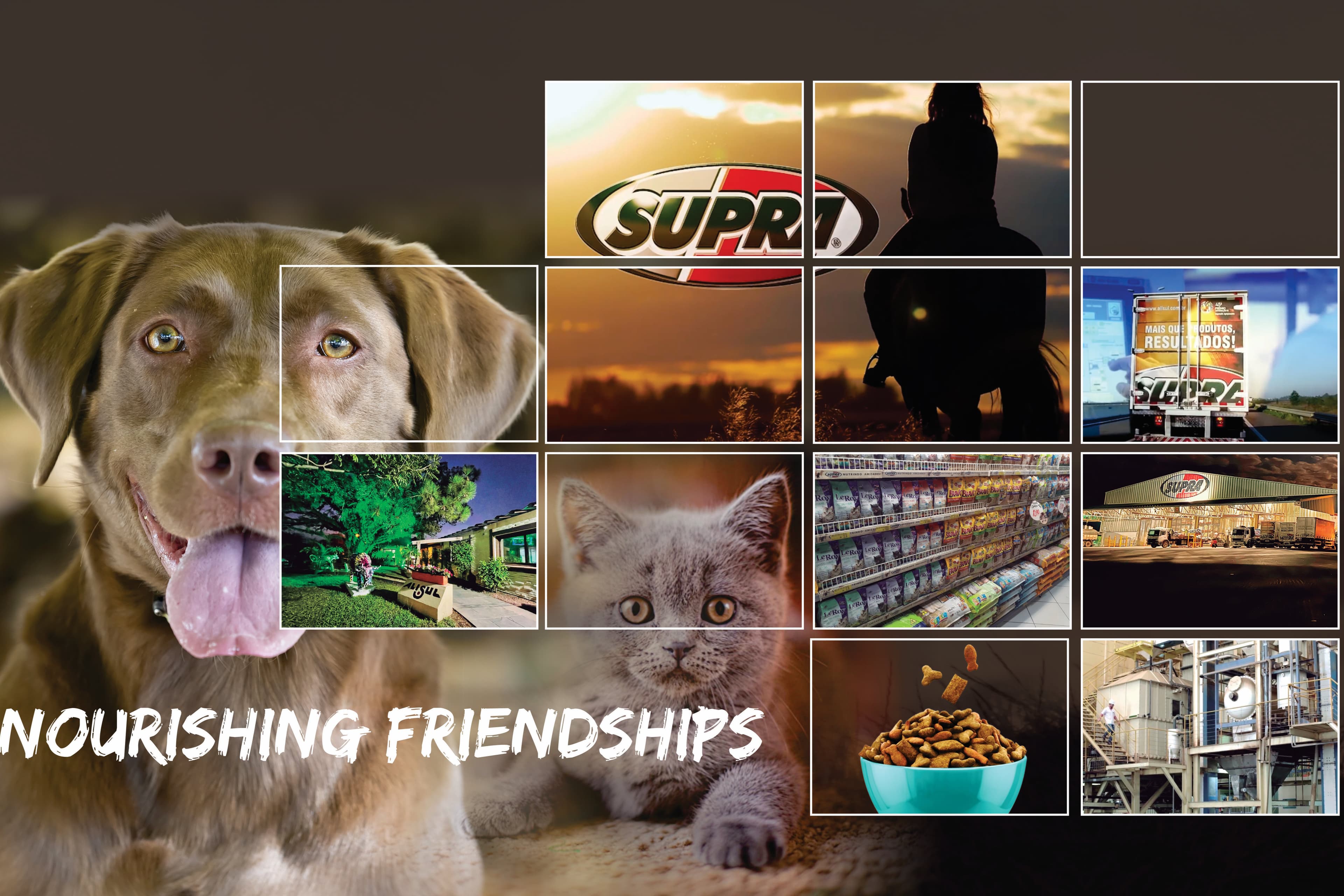 SUPRA - Alisul Alimentos S/A