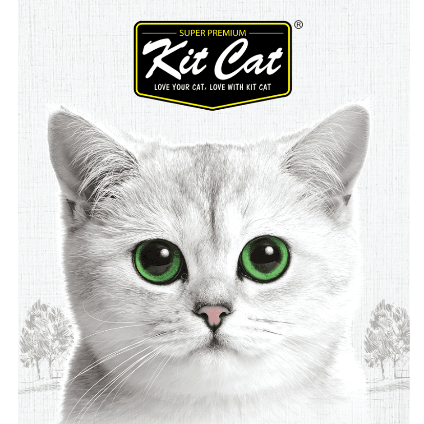 Kit Cat International Pte Ltd logo