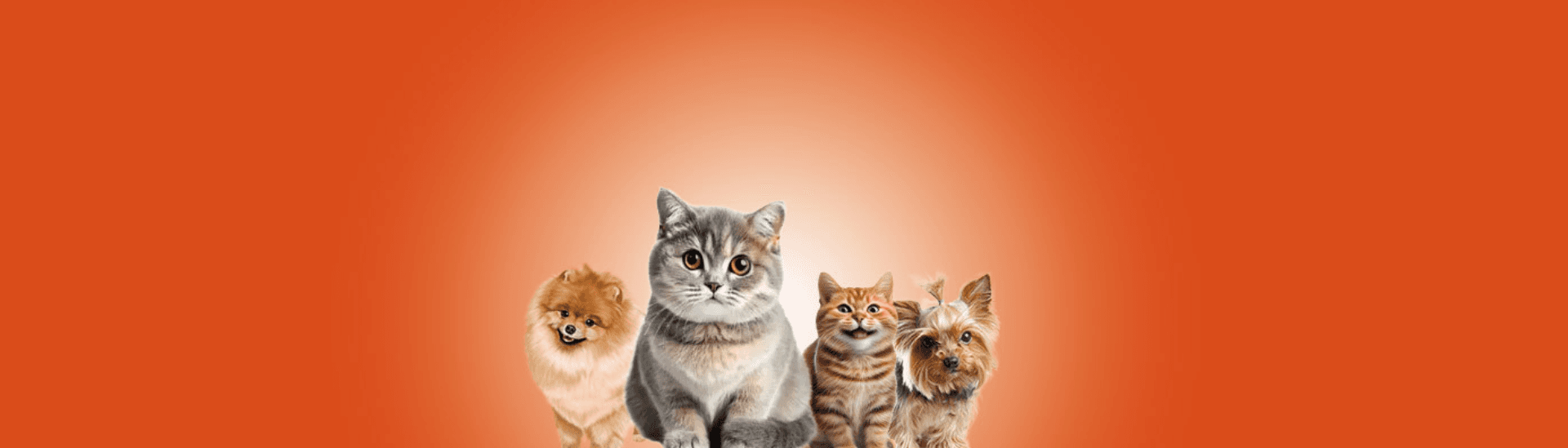PETFEST SIA