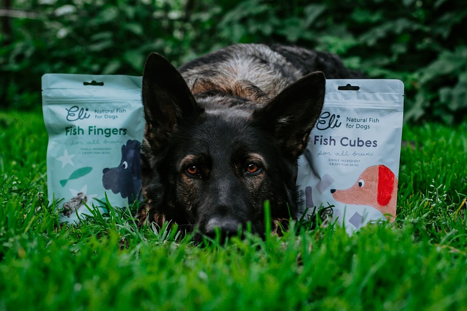 Eli Pet Products SIA