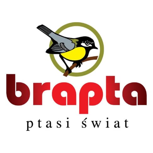DOROTA CIURUS BRAPTA logo