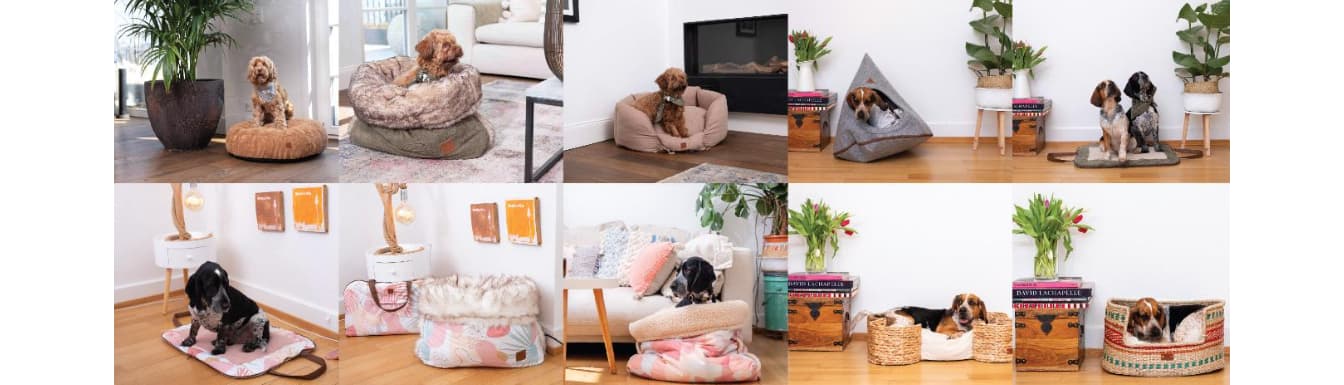 PET & Co.