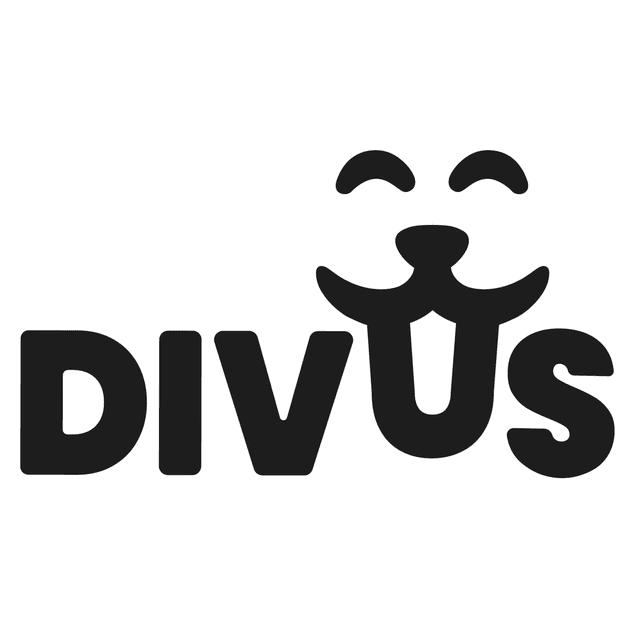 Divus 2020 ltd logo