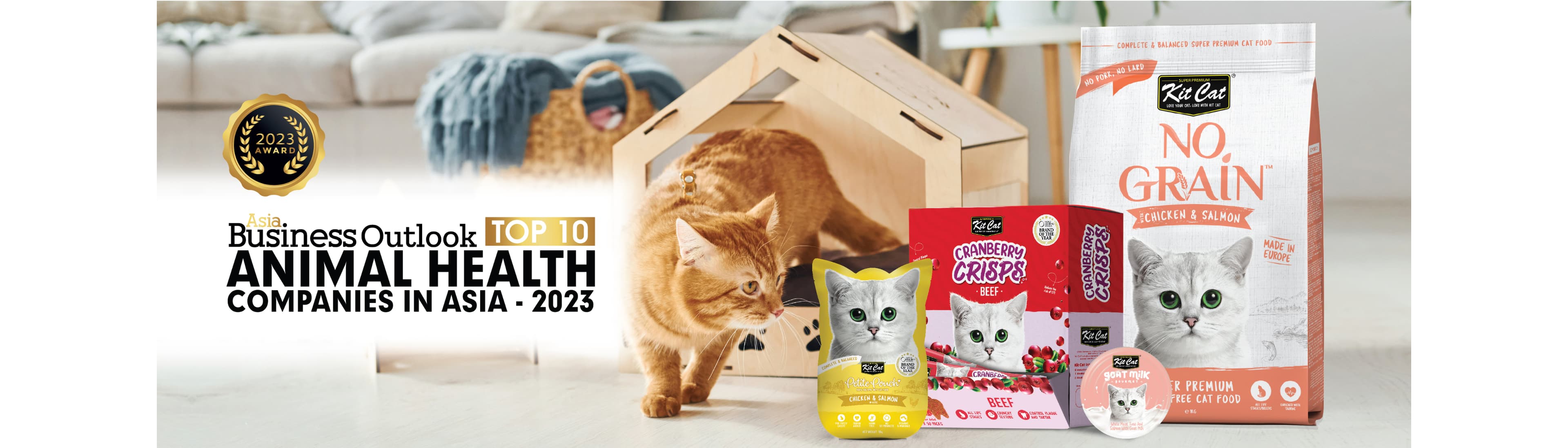 Kit Cat International Pte Ltd