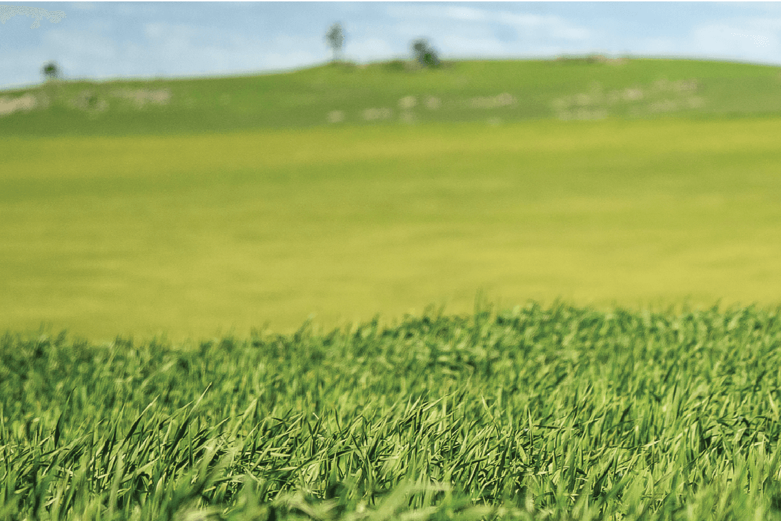 Vetafarm Australia Pty Ltd