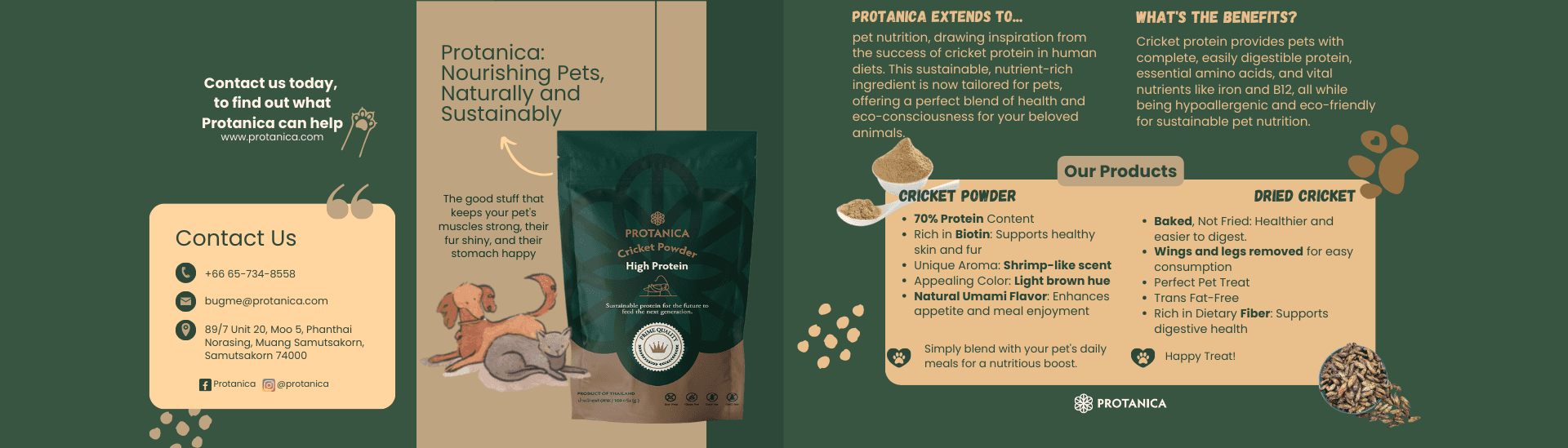 Protanica Co., Ltd.