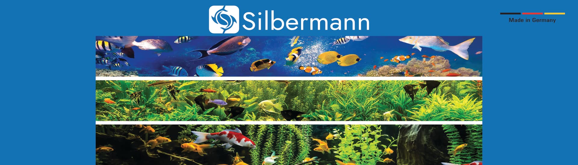 Aquaristik Silbermann