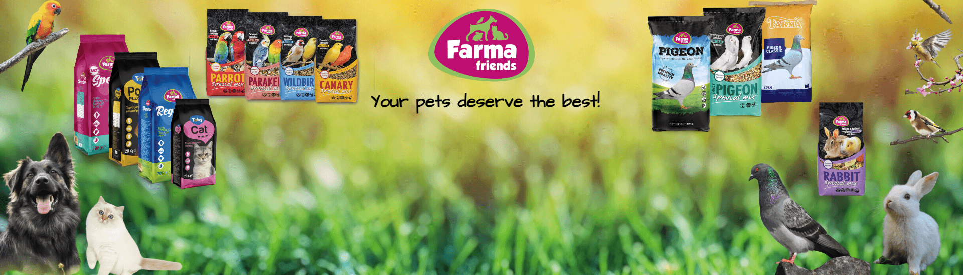Farma Friends