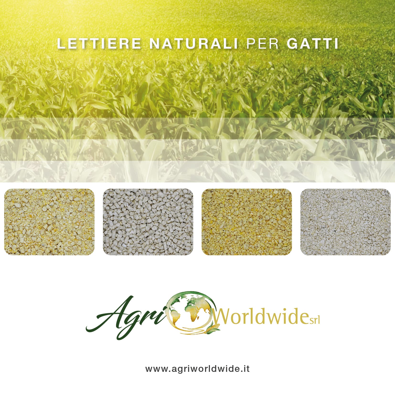 AGRI WORLDWIDE S.R.L. Società Agricola logo