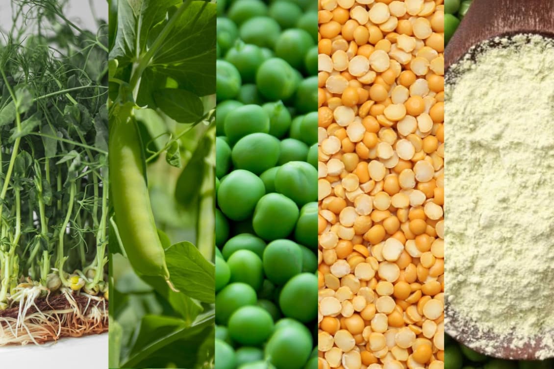 AGROVIRIDA Ltd