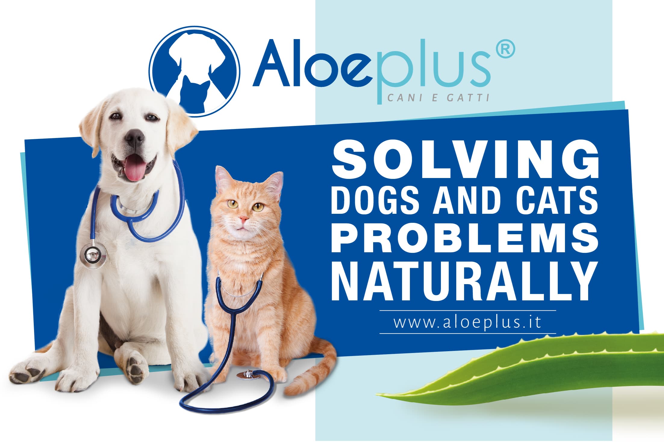 Aloeplus cani e gatti