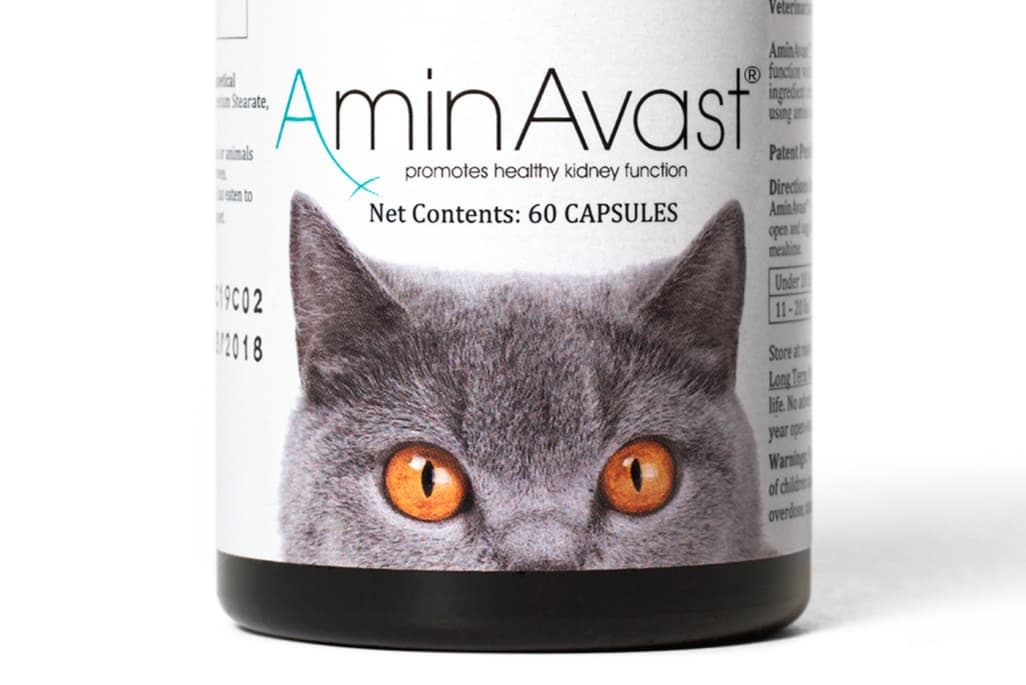 AminAvast