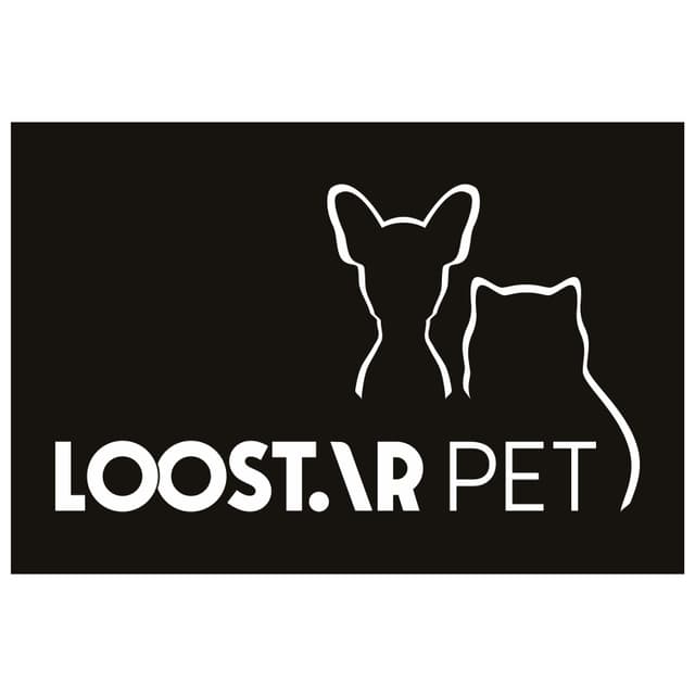 LOOSTAR logo