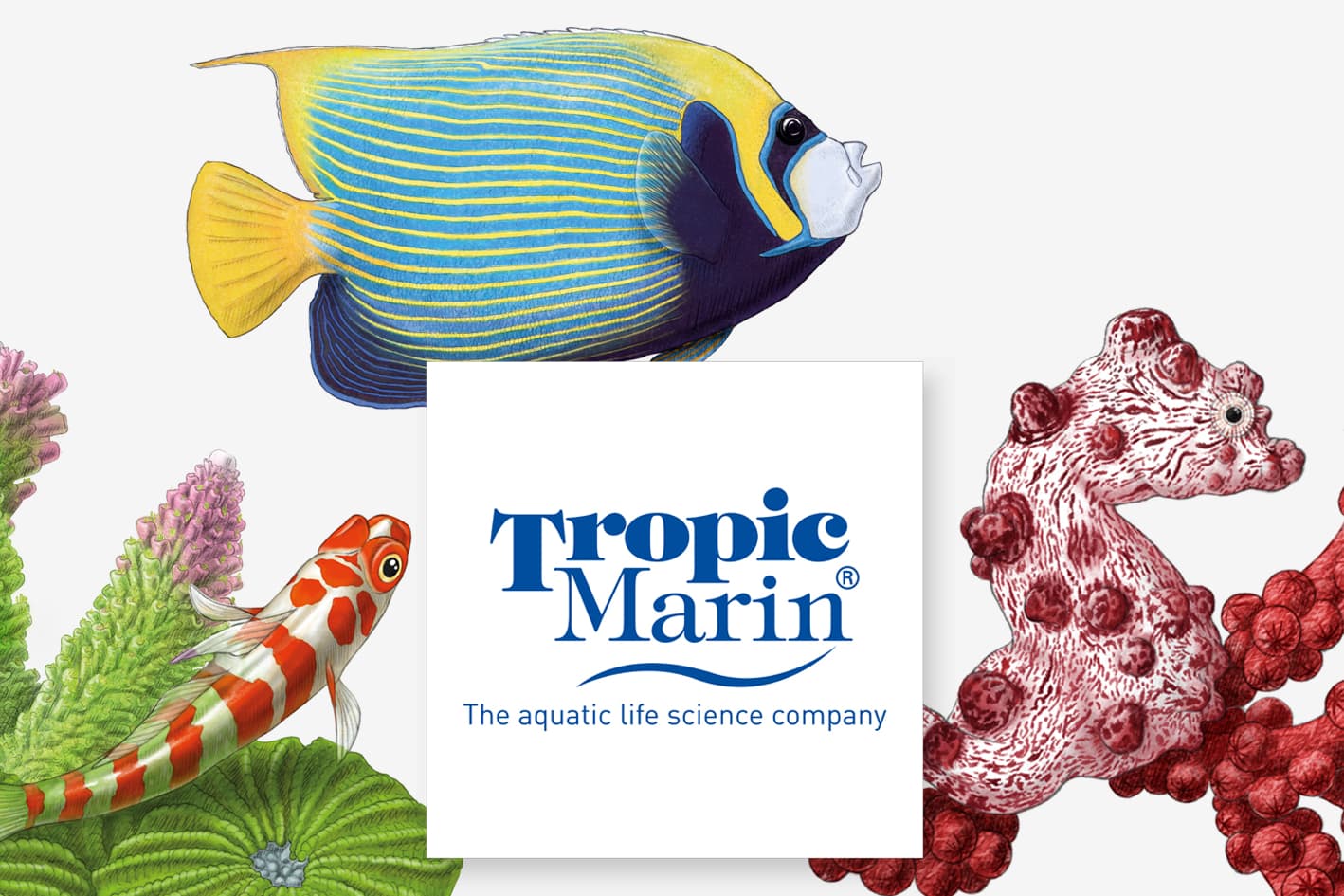 Tropic Marin AG