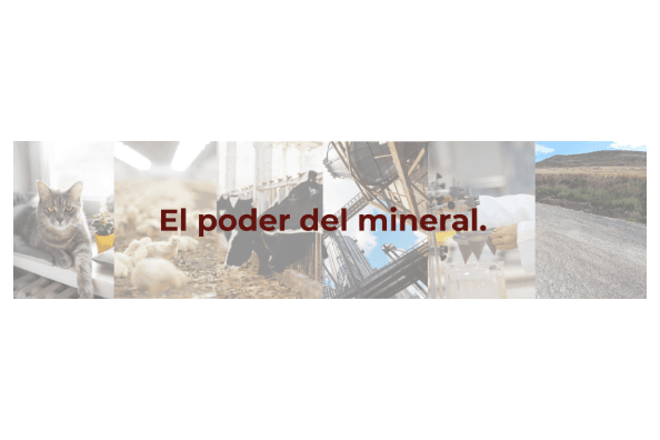 S.A. de Minería y Tecnología de Arcillas