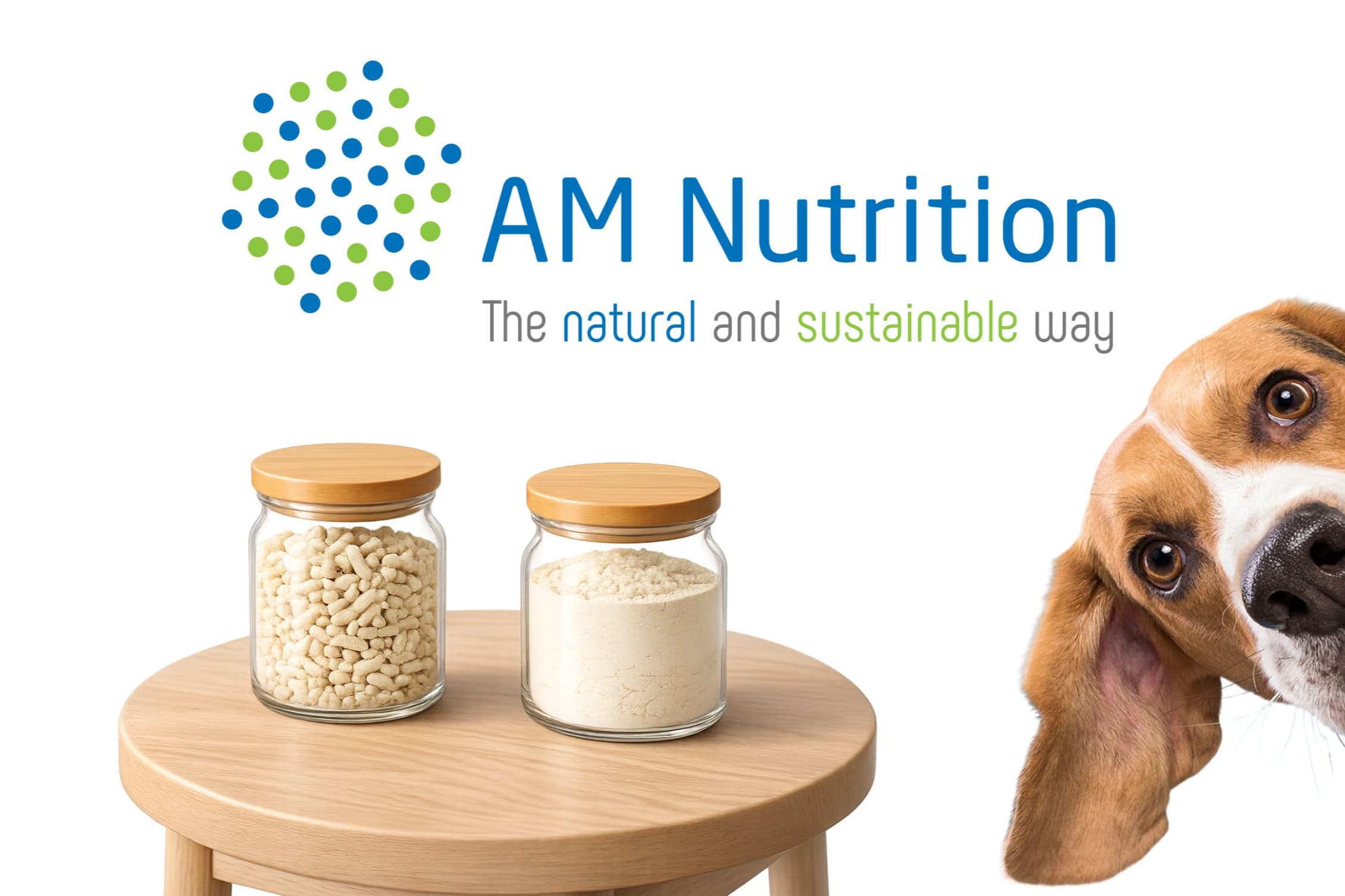 AM Nutrition AS