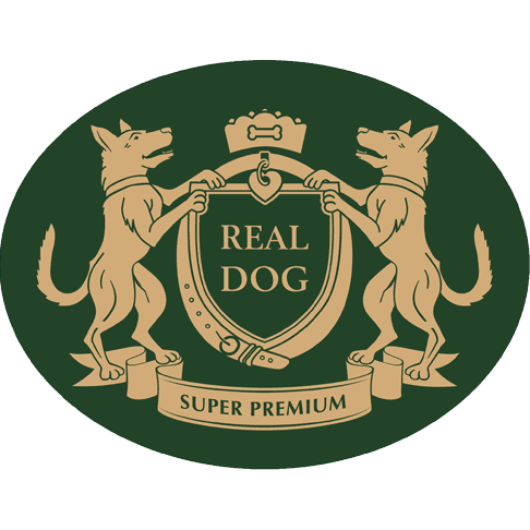 UAB Zalioji banga logo