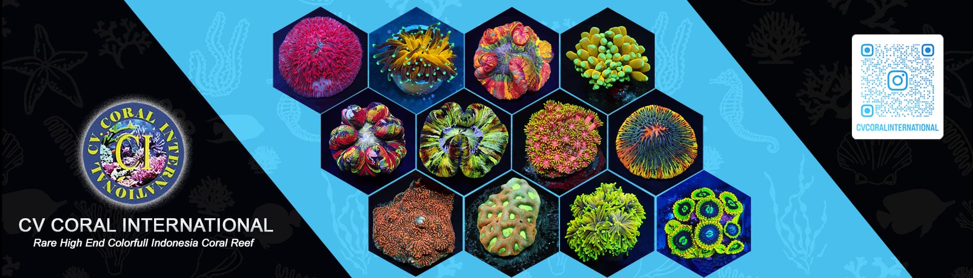 CV CORAL INTERNATIONAL