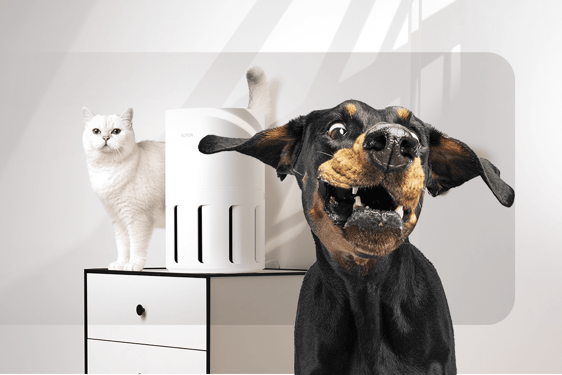 KLYQA | QConnex GmbH