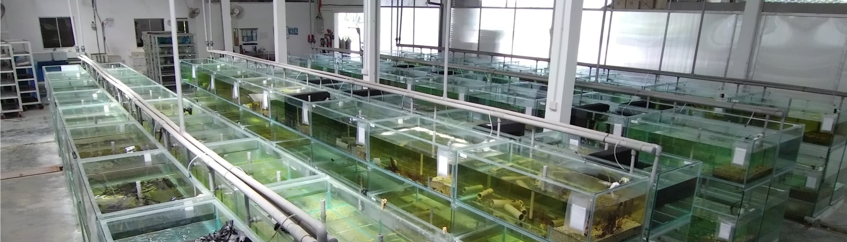 Greeny Aquaculture