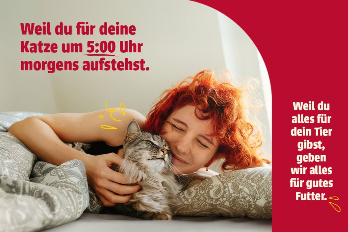 animonda petcare gmbh
